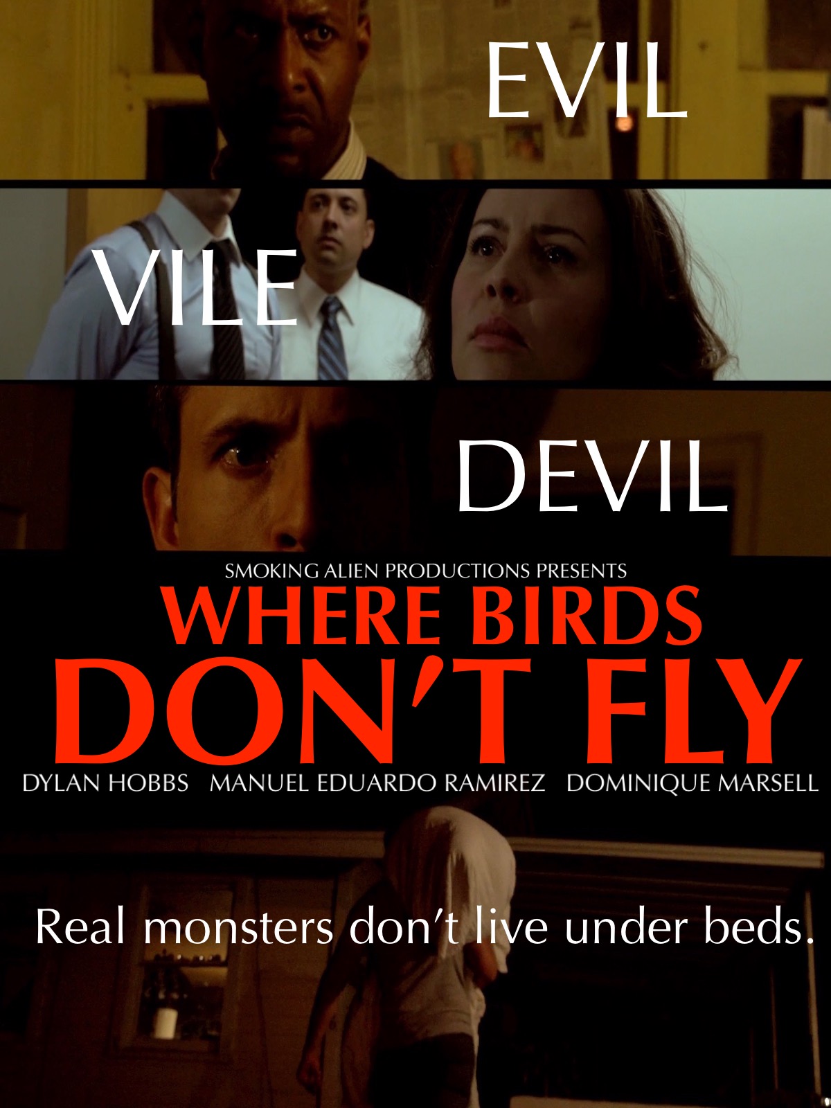 Where Birds Don't Fly (2017)